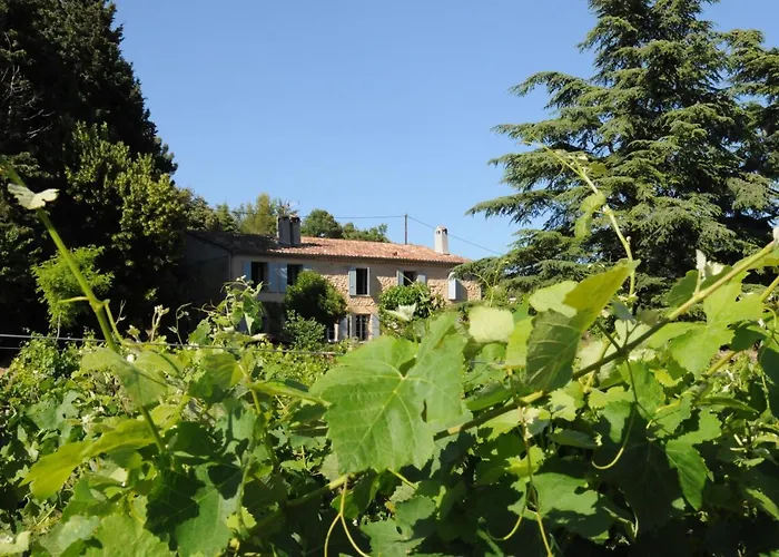 Les Vignes De Terrisse