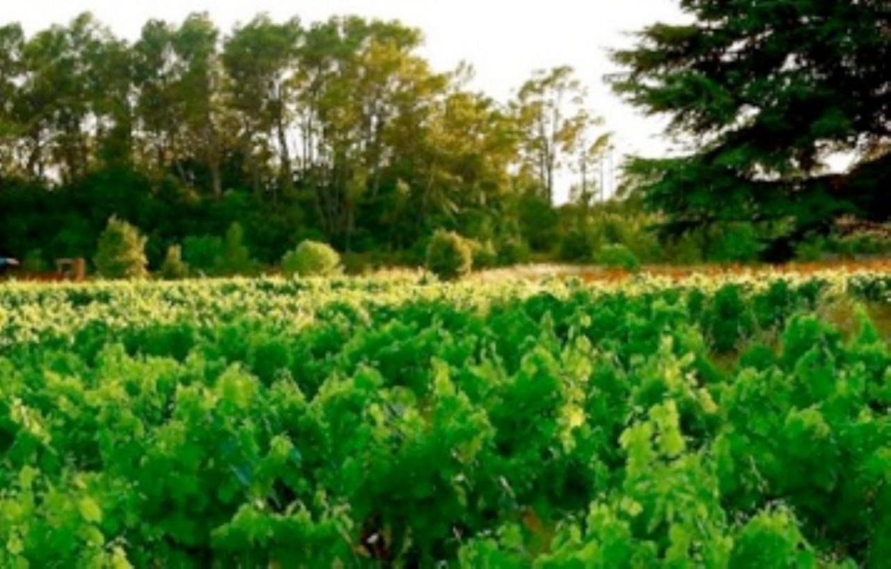 Les Vignes De Terrisse Apartment *