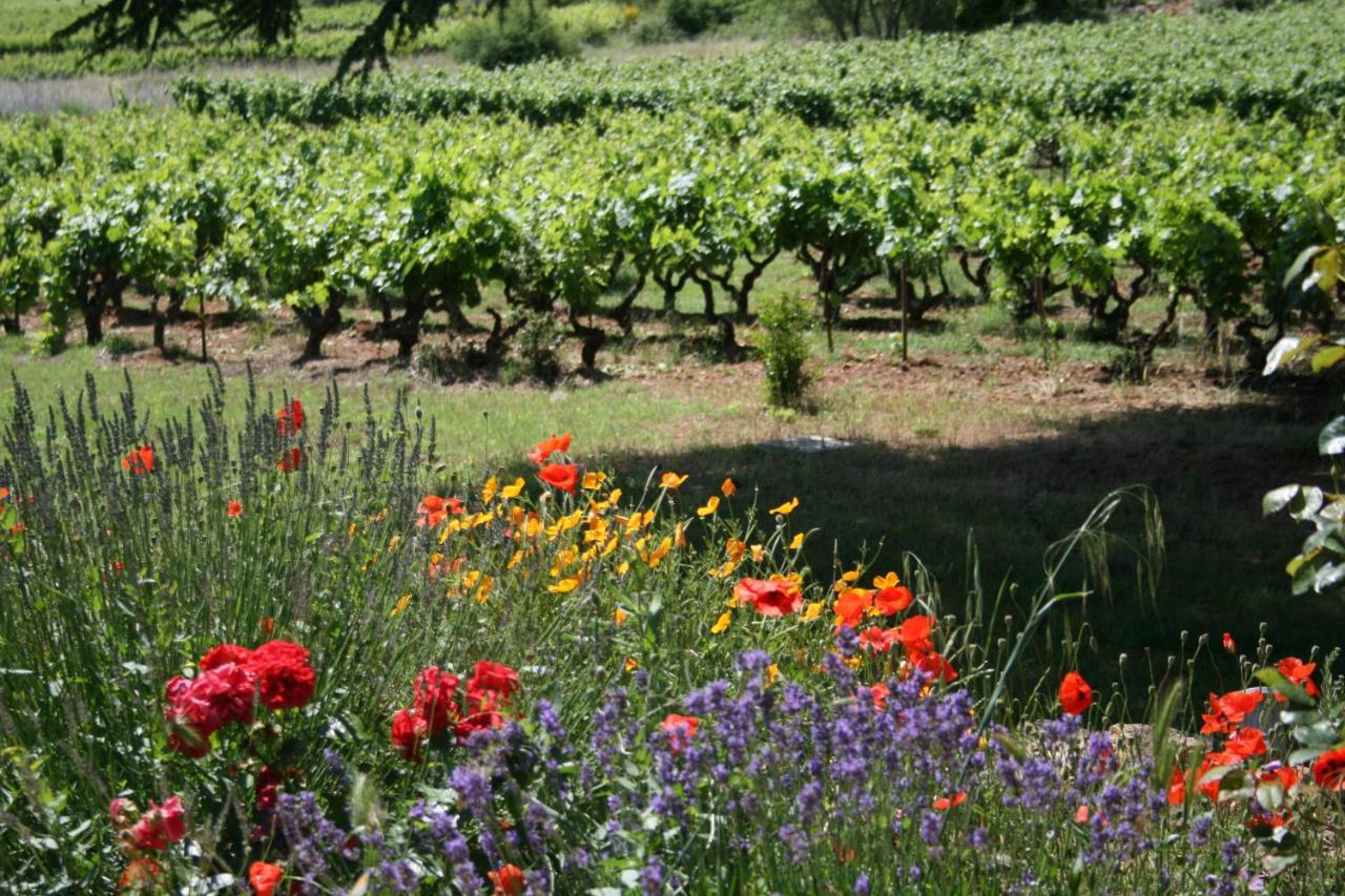 Apartment Les Vignes De Terrisse