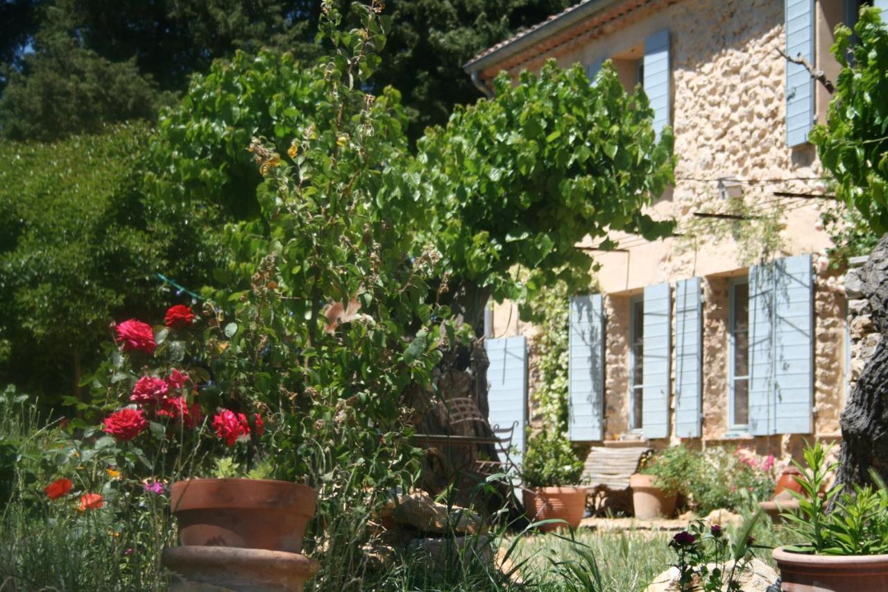 Les Vignes De Terrisse * Entrecasteaux