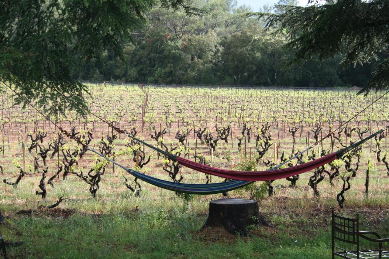 Les Vignes De Terrisse