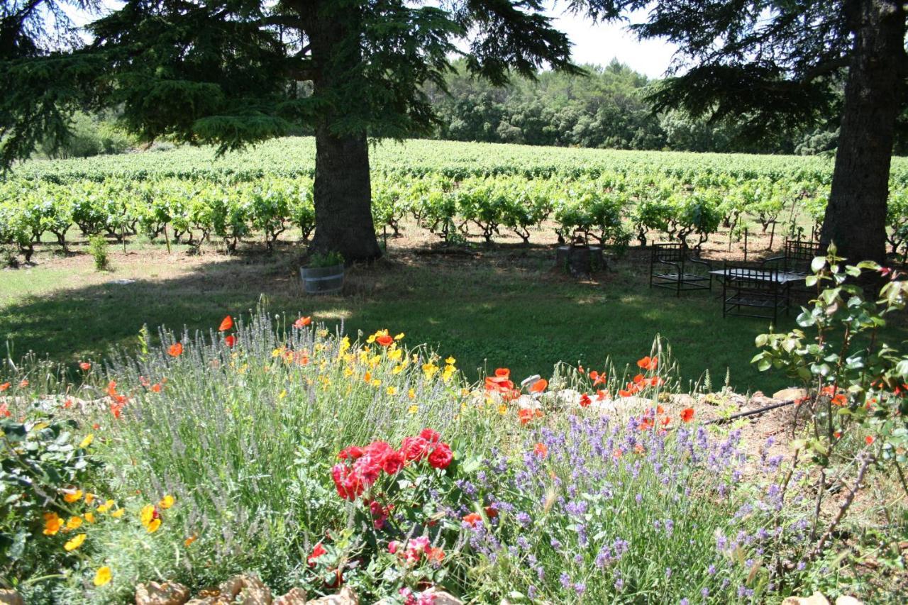 Les Vignes De Terrisse *