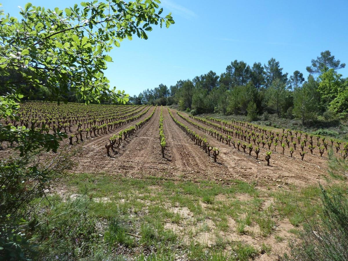 Les Vignes De Terrisse * Entrecasteaux